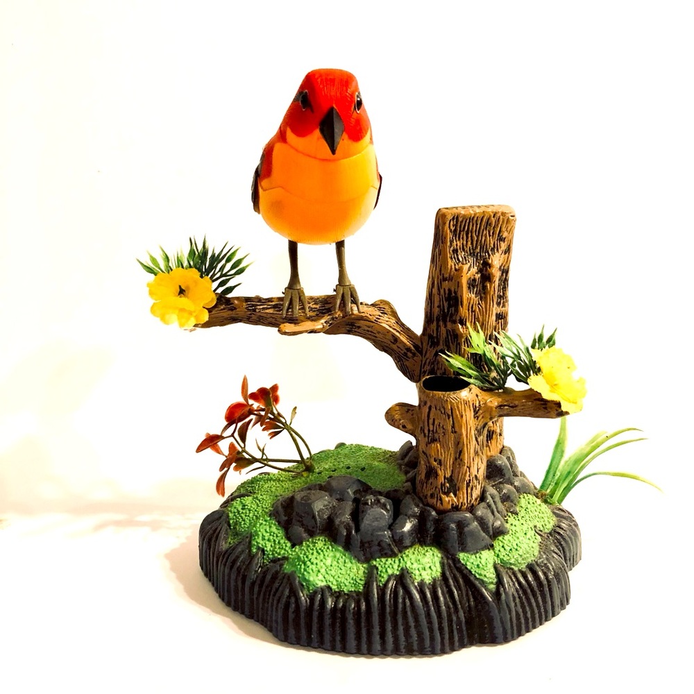American (Red Robin) Bird Music and Tweet Box